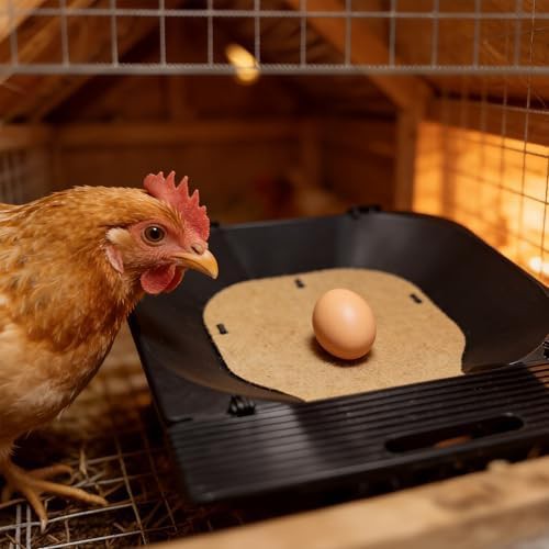 Wooden roll away nesting box three pack — photo 5