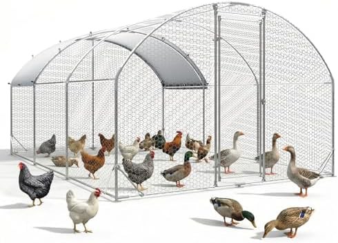 Metal Chicken Coop