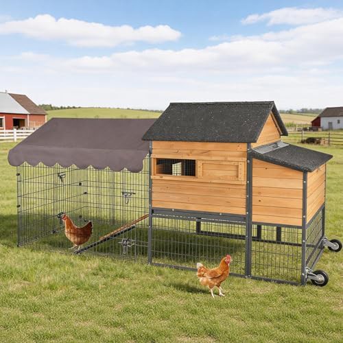 Large mobile coop with dividable nesting boxes