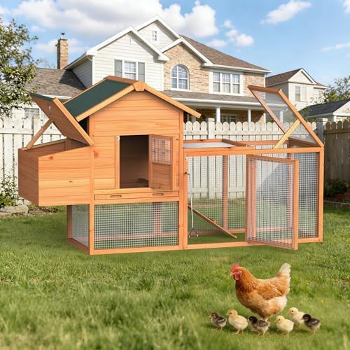 Yellow Wooden Hen House for Four Chickens