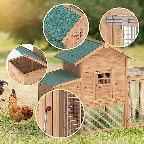 Yellow Wooden Hen House for Four Chickens — photo 4