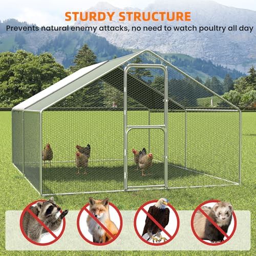 Heavy duty outdoor poultry enclosure — photo 5