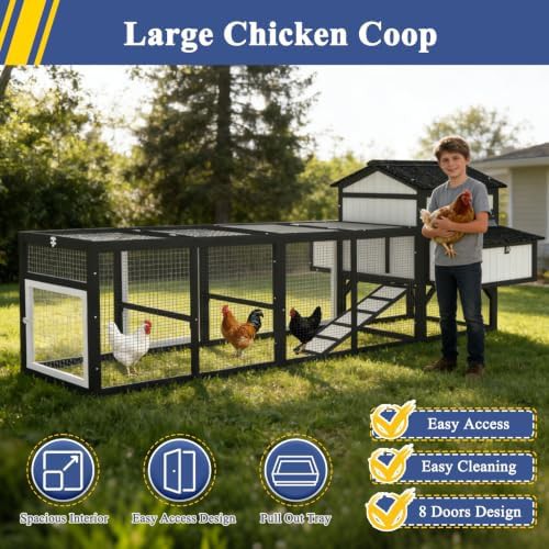Large chicken coop with extended outdoor run — photo 3