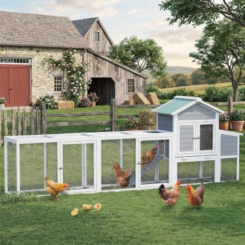 Large wooden chicken coop with ramp