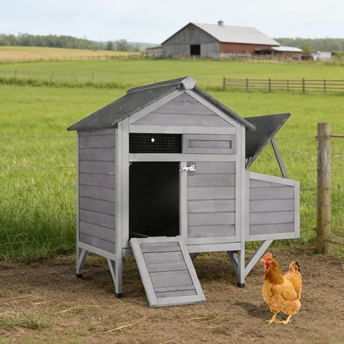 Grey weatherproof elevated coop for ducks