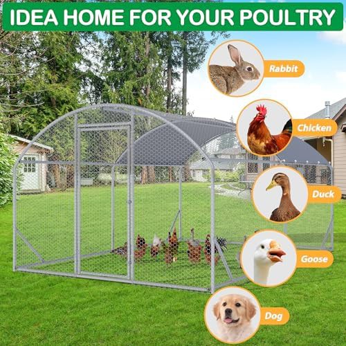 Dome roof walk in poultry pen — photo 5
