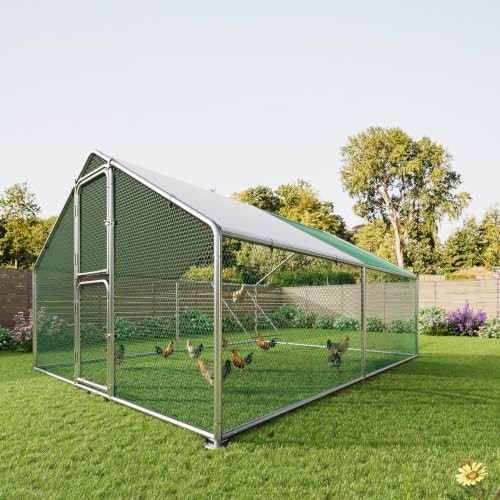 Walk in metal cage with roosting bar