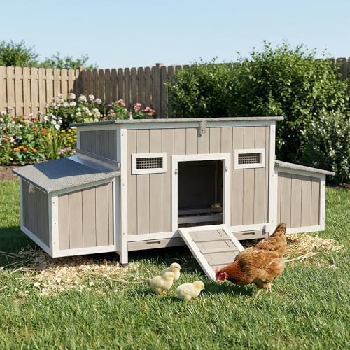 L-shaped wooden coop with asphalt roof