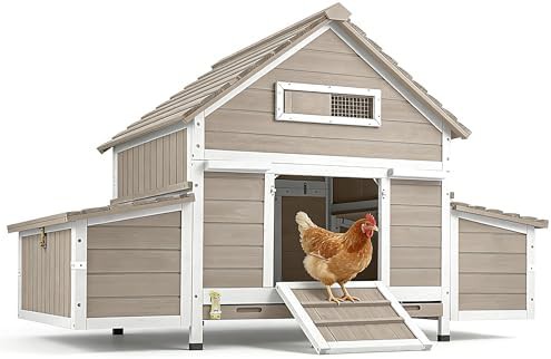 Raised floor wooden coop with six nesting boxes