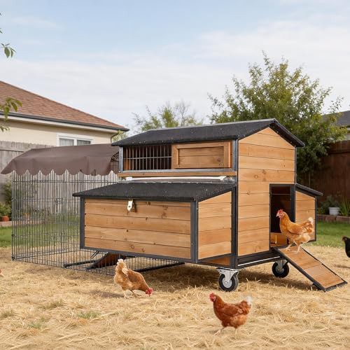 Portable iron frame chicken house with run