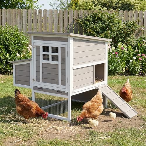 Elevated two tier chicken coop house
