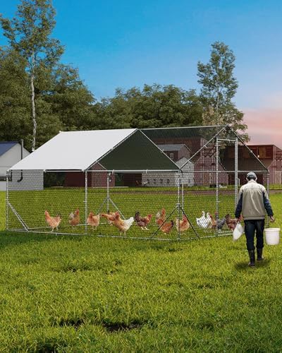 Large metal walk in poultry cage