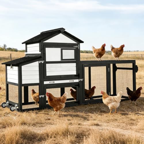 Black mobile hen house with asphalt roof