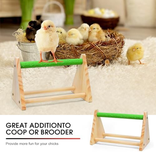 Portable chick brooder box starter kit — photo 4