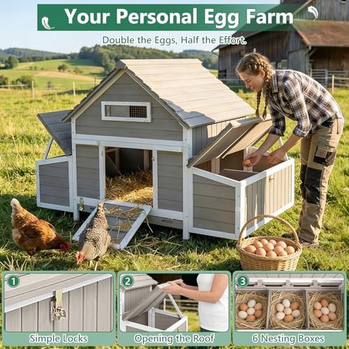 Wooden hen house with six nesting boxes — photo 4