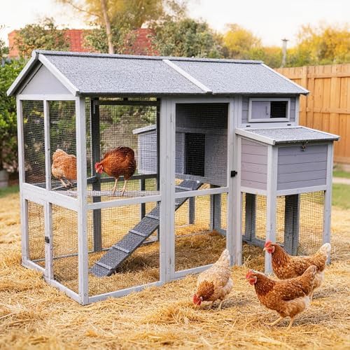 Walk in metal chicken coop with large run
