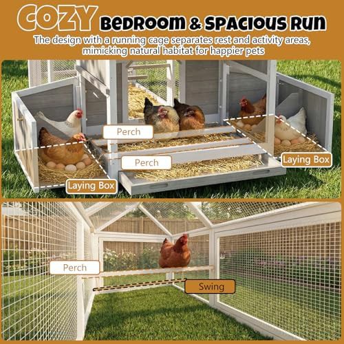 Large wooden chicken house with four nesting boxes — photo 3