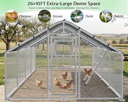 Walk in spire roof coop 26 foot — photo 3