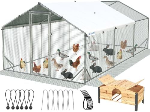 Metal chicken coop with beige nesting box