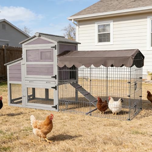 Mobile UV resistant chicken house with ramp