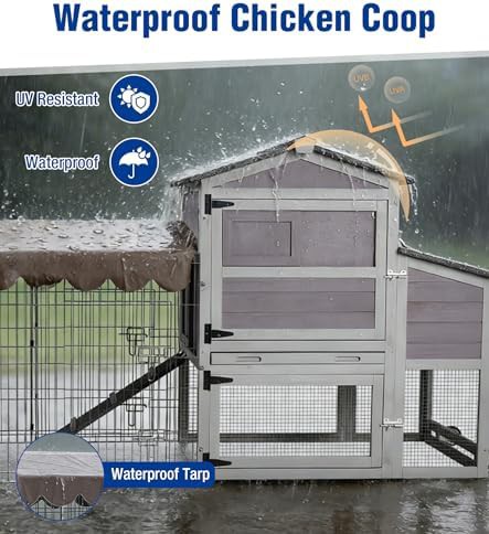 Mobile UV resistant chicken house with ramp — photo 4