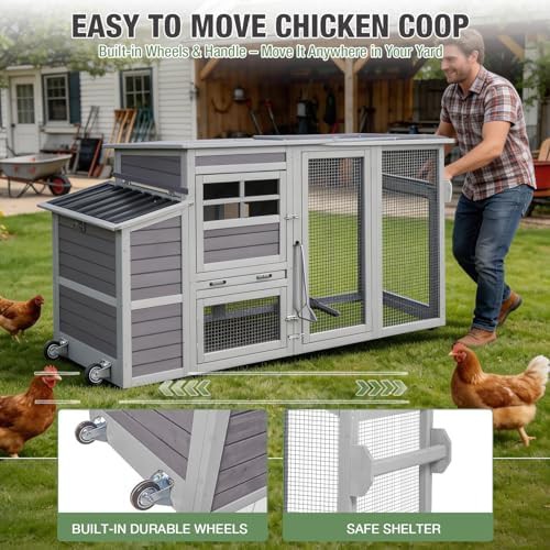Mobile wooden chicken coop with secure locks — photo 4