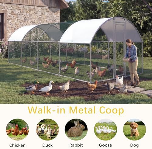 Large metal walk in chicken coop run — photo 4