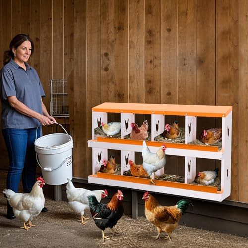 Eight compartment orange nesting box