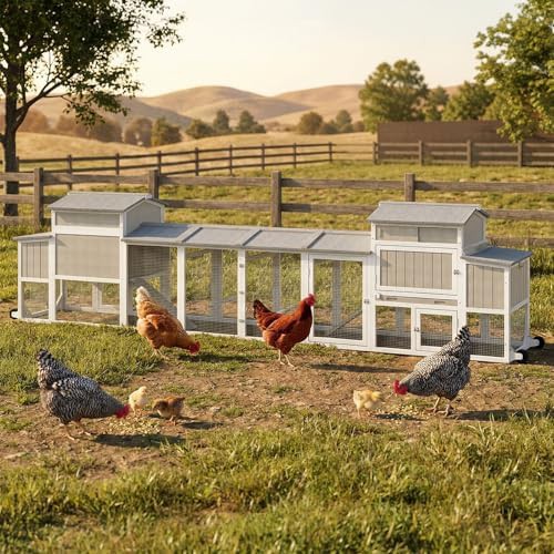 Large chicken tractor with asphalt roof