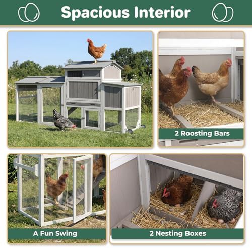 Large chicken tractor with asphalt roof — photo 3