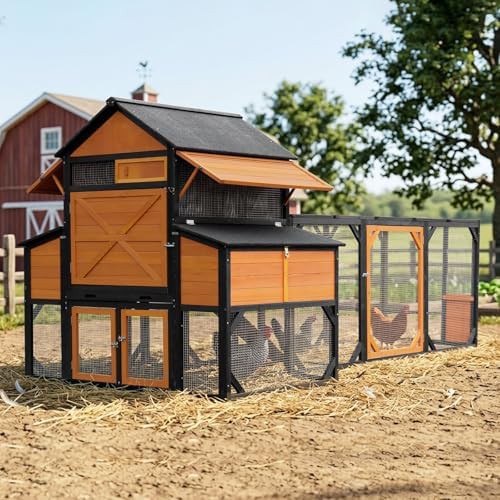 Extra large wooden coop for fifteen chickens