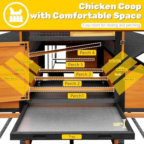 Extra large wooden coop for fifteen chickens — photo 4