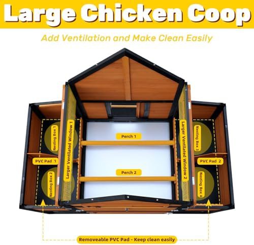 Large wooden chicken coop with outdoor run — photo 5