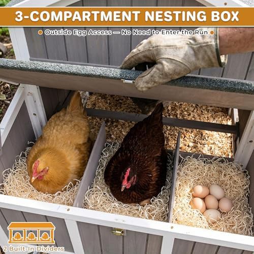Large wooden chicken coop with wheels and run — photo 4