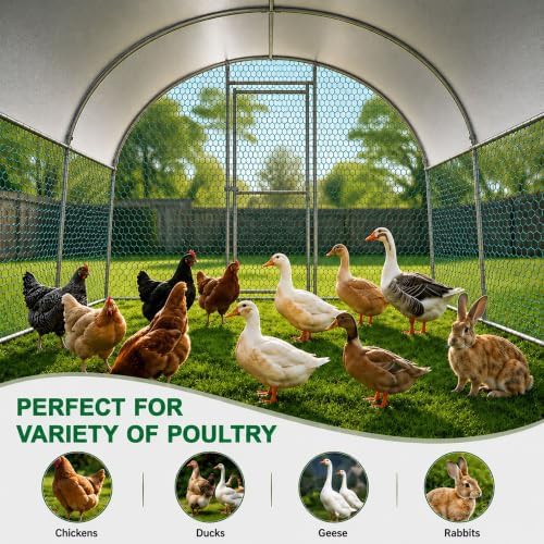 Tall metal walk-in chicken run with cover — photo 4