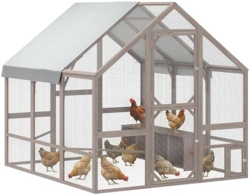 Walk in light brown wooden coop for eight hens
