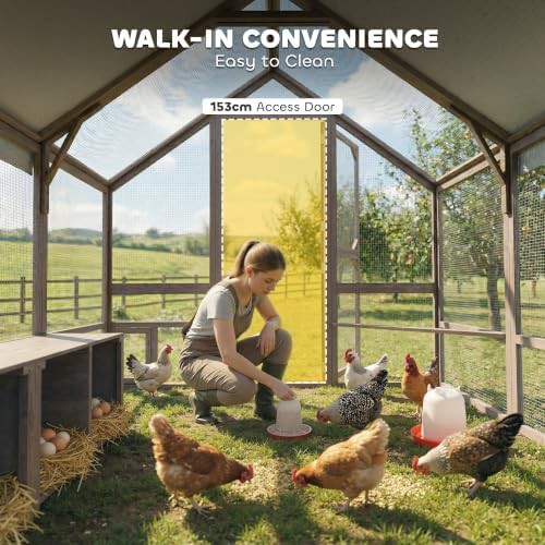Walk in light brown wooden coop for eight hens — photo 4