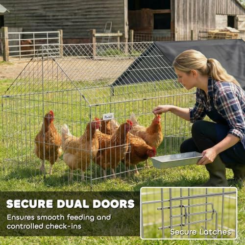 Black metal low profile chicken run — photo 4