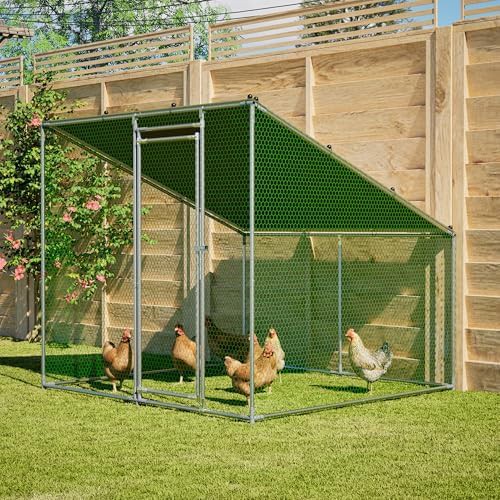 Walk in poultry cage for ten chickens