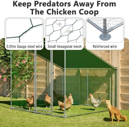 Walk in poultry cage for ten chickens — photo 4