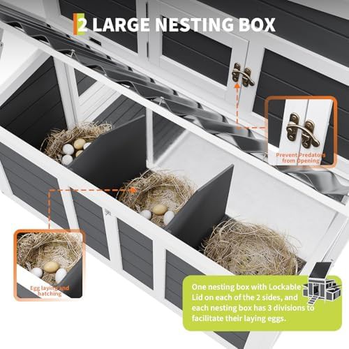 Wooden chicken house with six nesting boxes — photo 4