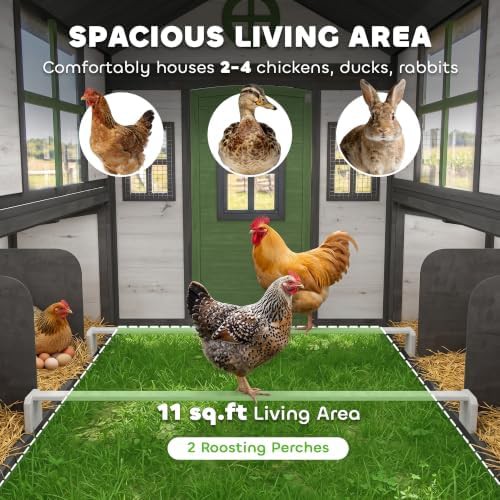 White wooden chicken house with interior perch — photo 3