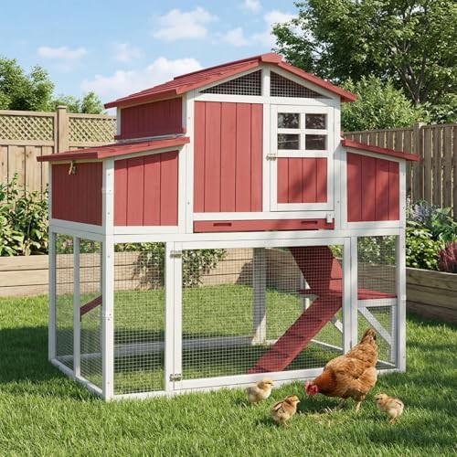 Wooden chicken tractor with four nesting boxes