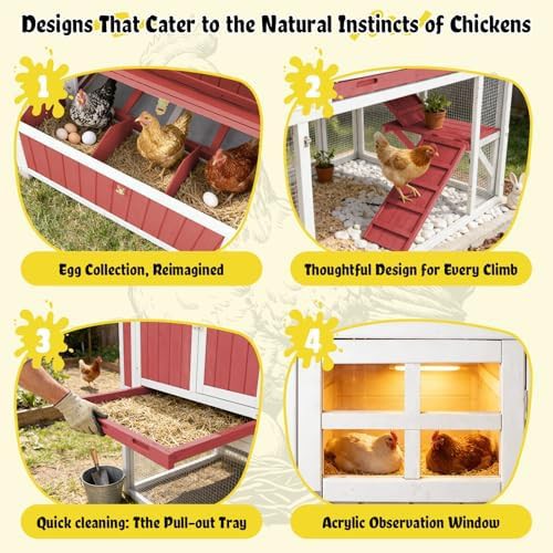 Wooden chicken tractor with four nesting boxes — photo 3