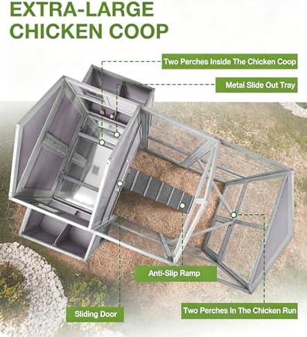 Grey walk in chicken house with iron brackets — photo 3