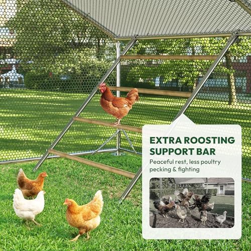 Large walk in poultry pen with cover — photo 4