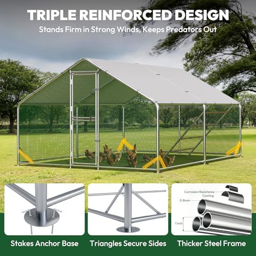 Large walk in poultry pen with cover — photo 5