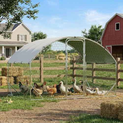 Metal chicken run with strengthened support