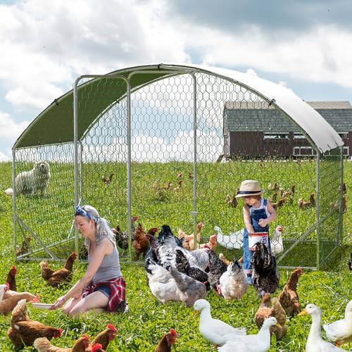 Metal chicken run with strengthened support — photo 4