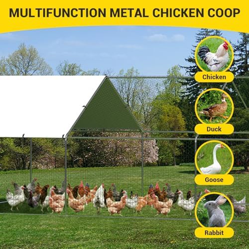 Large walk-in metal poultry run with cover — photo 5